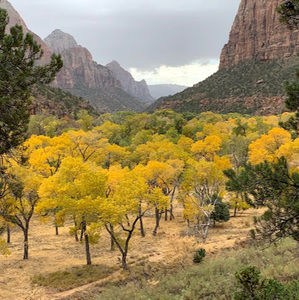 Meet your Posher, Suzanne